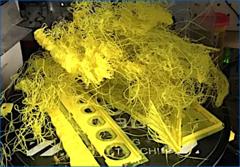 What Causes Spaghetti 3D Printing and Why Do Cats Love Watching It?